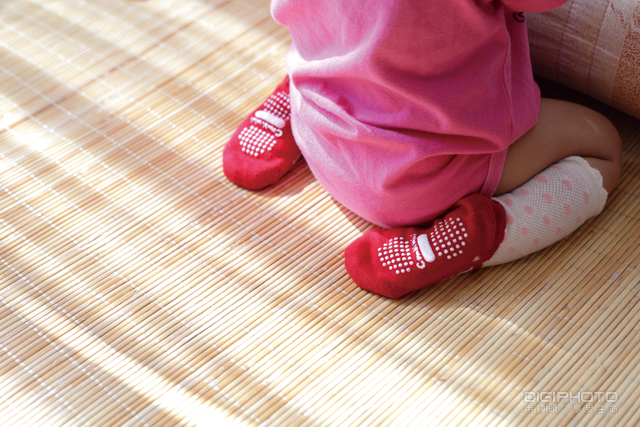 拍好局部特写的10大技巧【转载】