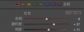 拍好局部特写的10大技巧【转载】