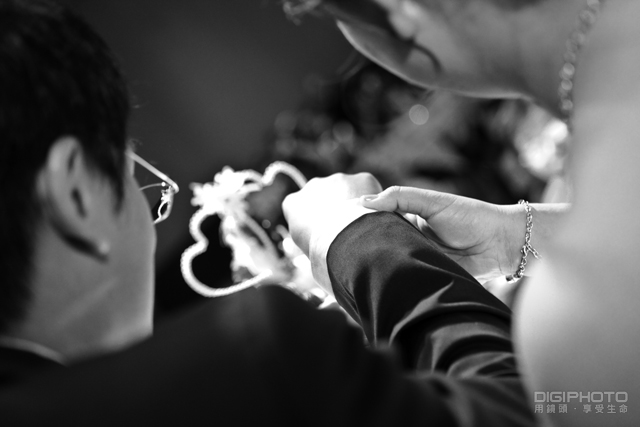 拍好局部特写的10大技巧【转载】