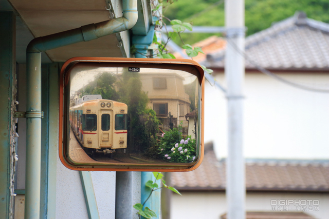 拍好局部特写的10大技巧【转载】