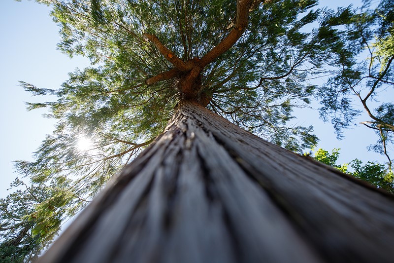 适马14mm F1.8 Art镜头实拍样张欣赏