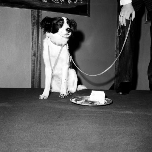 记忆碎片---世界杯历届精华。