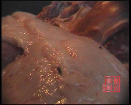 三鹿算什么?看过这个你还有吃的欲望吗