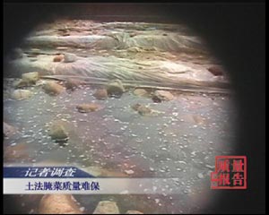 三鹿算什么?看过这个你还有吃的欲望吗