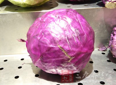 怎么败火 吃这些菜可以轻松降火