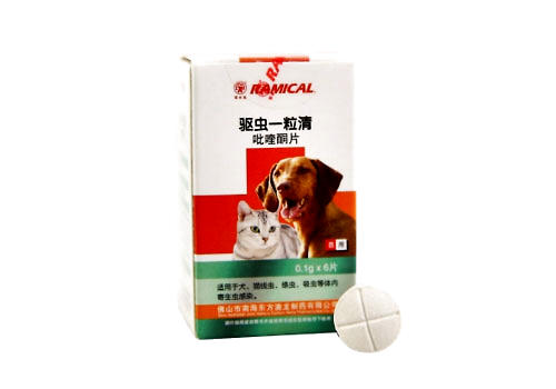 猫咪驱虫要定时定量吗?