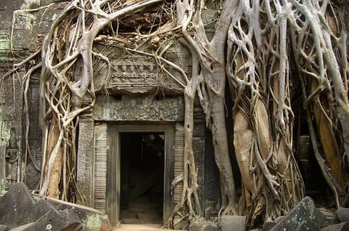 【派派八年,有我同行】26个从童话中走出来的仙境