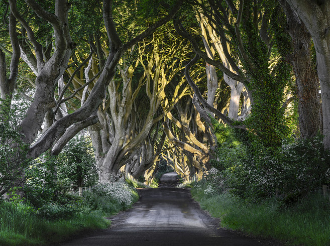 【派派八年,有我同行】26个从童话中走出来的仙境