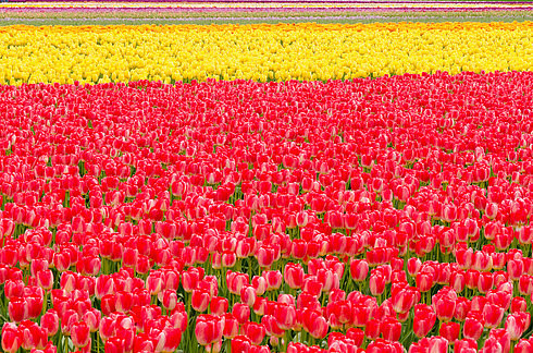 【派派八年,有我同行】26个从童话中走出来的仙境