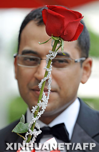 情人节疯狂的玫瑰