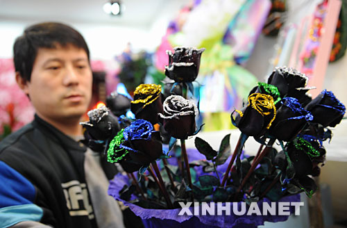 情人节疯狂的玫瑰