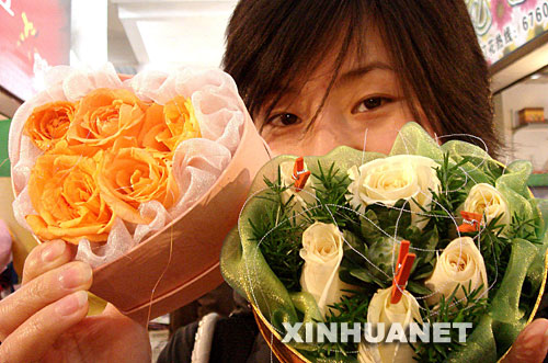 情人节疯狂的玫瑰