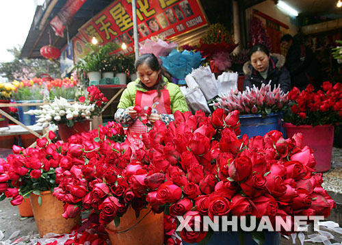 情人节疯狂的玫瑰