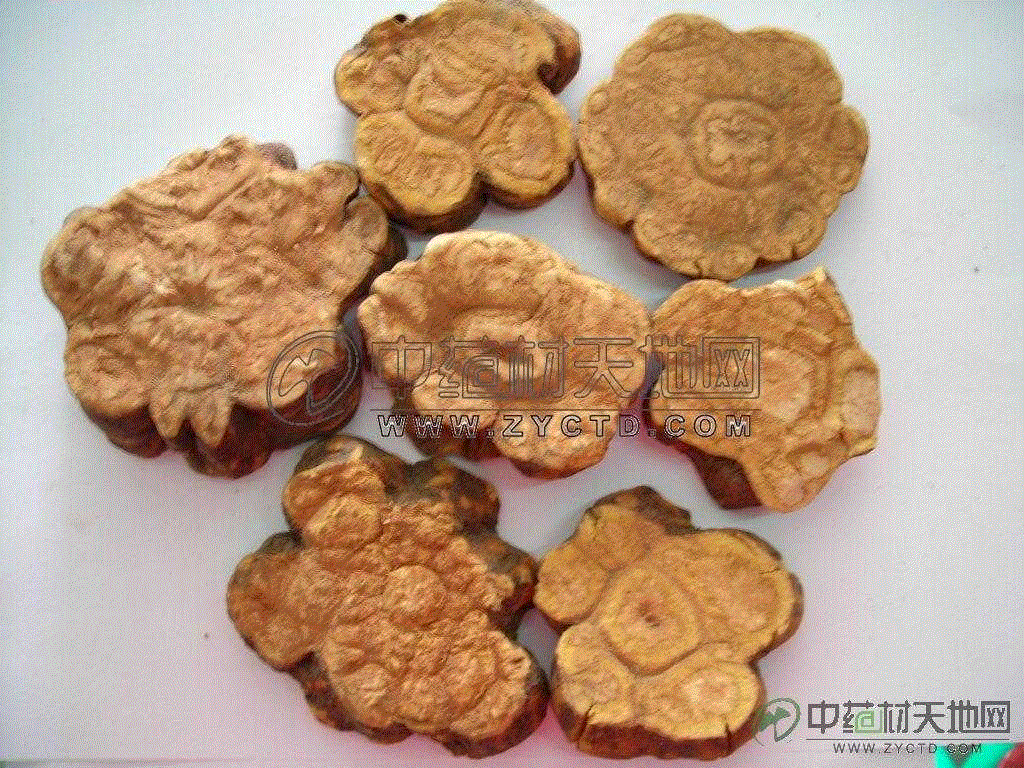 中药的美丽传说