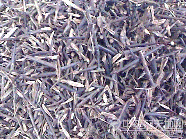 中药的美丽传说