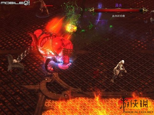 《暗黑破坏神3》全boss战图文攻略(剧透)(申亮)