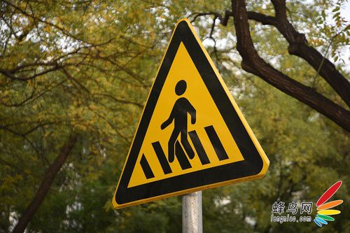 尼康全画幅大对决 D610/D750深度对比评测