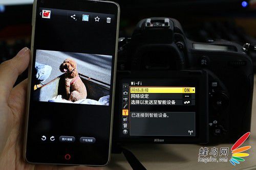 尼康全画幅大对决 D610/D750深度对比评测
