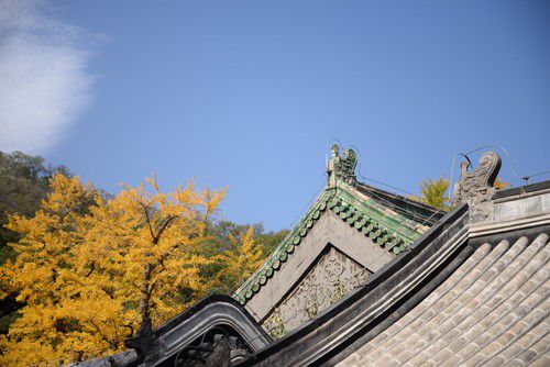 尼康全画幅大对决 D610/D750深度对比评测