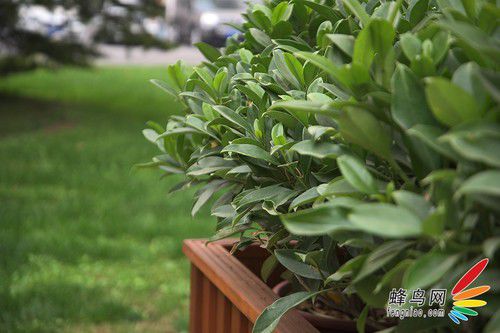尼康全画幅大对决 D610/D750深度对比评测