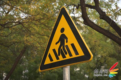 尼康全画幅大对决 D610/D750深度对比评测