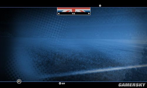 《FIFA 10》免安装简体中文硬盘版下载