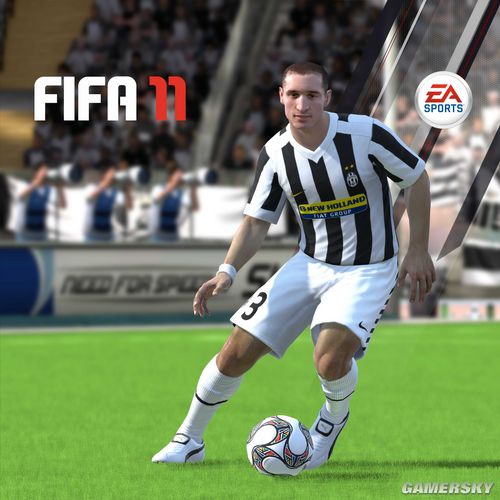 《FIFA 11》引擎将专门针对PC进行优化