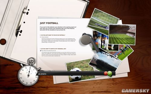 《FIFA足球经理11》主要特性与配置要求