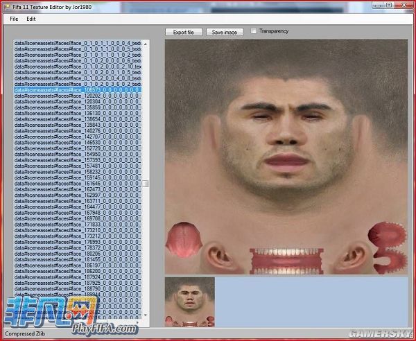 《FIFA 11》texture editor v1.0.2工具