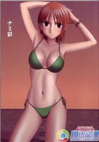 【已审】浅谈海贼王!路飞之五大团队建设