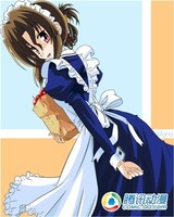 【已审】卖萌利器!迷死宅男的八大女仆装