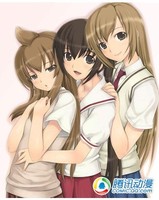 【已审】那些美女云集的宅男向必看作品!
