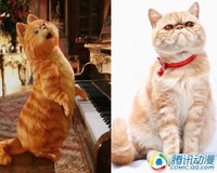 活泼可爱!动漫猫咪原型大揭秘!