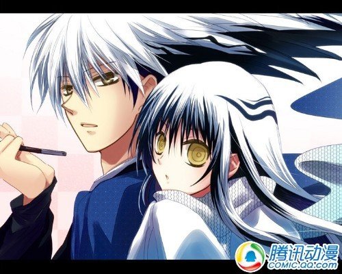 【转】倾城之恋!惹人艳羡的黑白绝配!