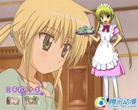 泳池再见!盘点八大超萌的旱鸭子