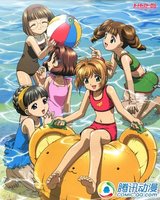 酷爽夏日!玩转沙滩的完美版攻略