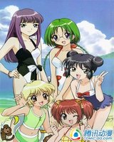酷爽夏日!玩转沙滩的完美版攻略