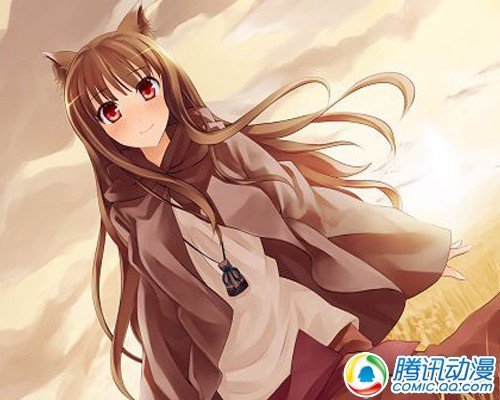 无比期待续作的七动画