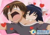 萌无止境!盘点二次元中七大猫妖