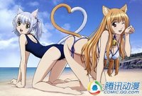 萌无止境!盘点二次元中七大猫妖