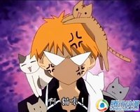 萌死无罪!感觉像喵星人的男生们