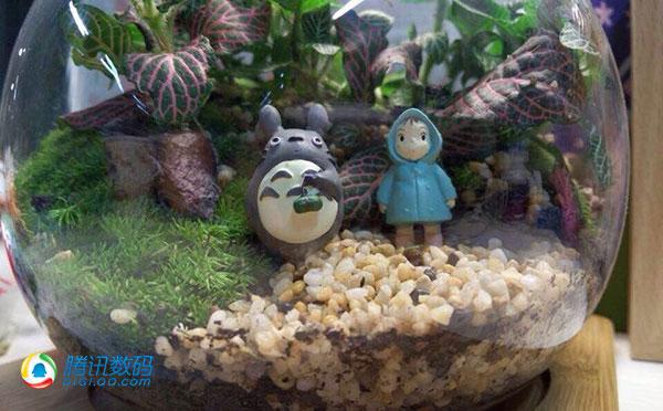 三星W2015评测:做工精致贵气 娱乐性偏弱
