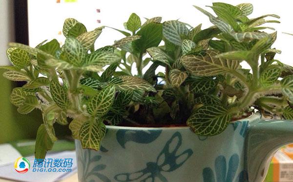 三星W2015评测:做工精致贵气 娱乐性偏弱