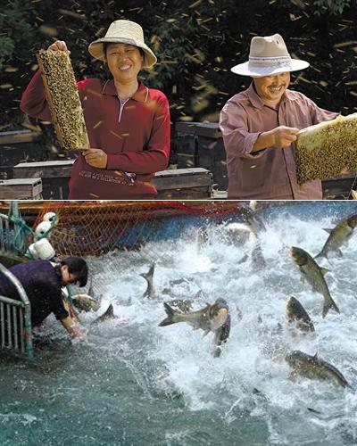 《舌尖2》开启刷屏模式 人情比美食更有嚼头