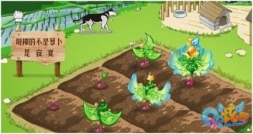 绝版限量种子------<炫舞之心>领取方法
