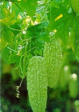 【已审】老中医教你的3个祛痘土方法