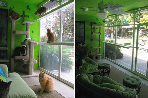 【已审】别叫它笼子 它是猫的城堡