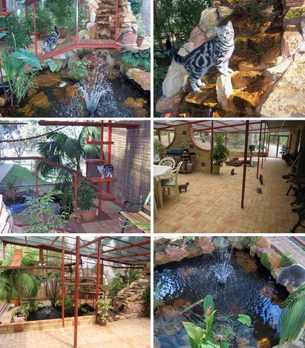 【已审】别叫它笼子 它是猫的城堡