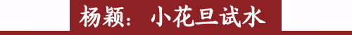 接地气还能赚钱?电视剧吸引电影咖的N个理由