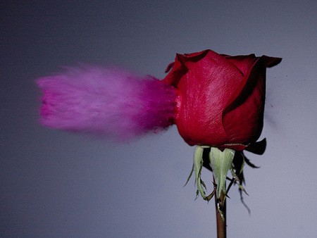 子弹穿过的瞬间